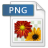 Portable Network Graphics (*.png)