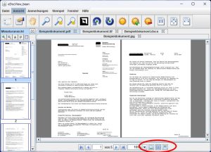 Documents presented in different display modes such as “One Page”, “Two Page” or “Continuous”.